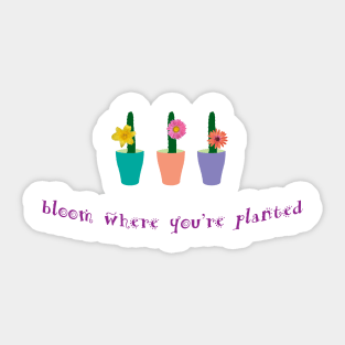 Bloom where you're planted Sticker